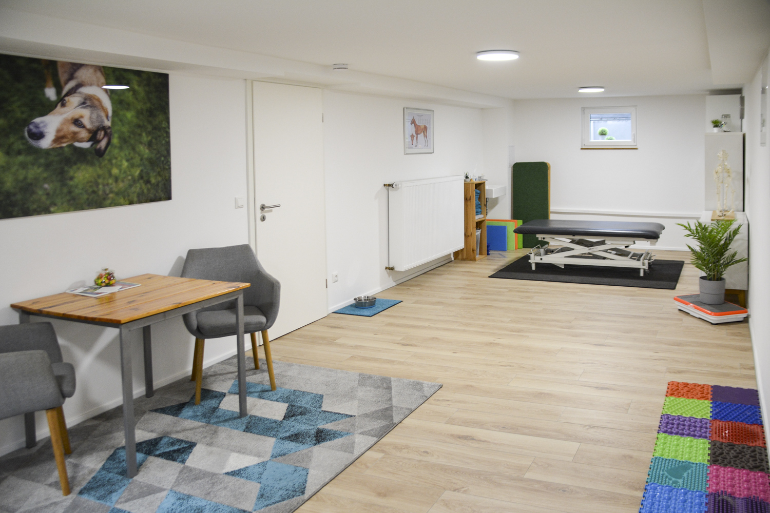 Hundum-Happy Hundephysiotherapie Praxis